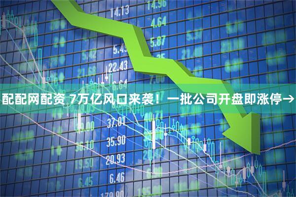 配配网配资 7万亿风口来袭！一批公司开盘即涨停→