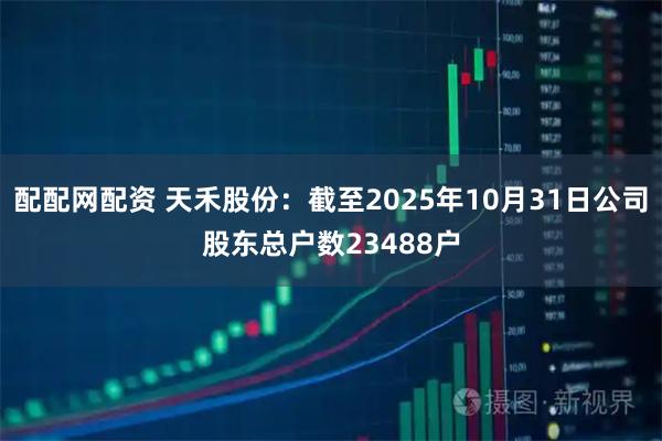 配配网配资 天禾股份：截至2025年10月31日公司股东总户数23488户