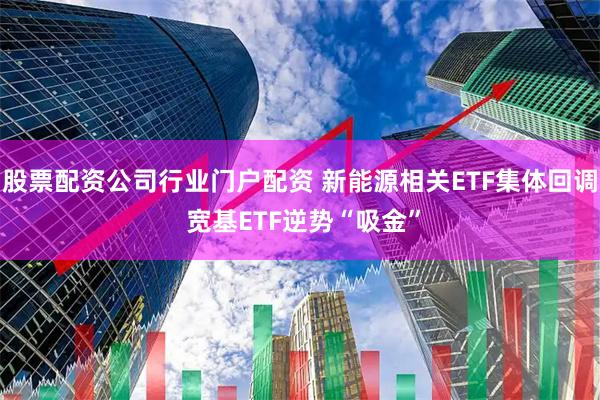股票配资公司行业门户配资 新能源相关ETF集体回调 宽基ETF逆势“吸金”