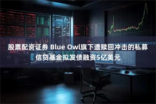 股票配资证券 Blue Owl旗下遭赎回冲击的私募信贷基金拟发债融资5亿美元