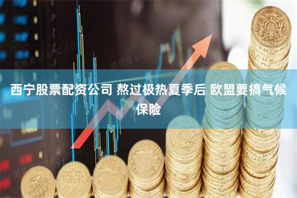 西宁股票配资公司 熬过极热夏季后 欧盟要搞气候保险